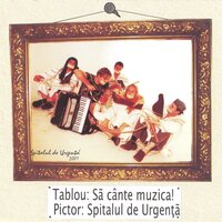 Doamnele - Spitalul de urgență