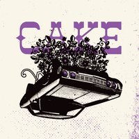 Strangers in the Night - Cake