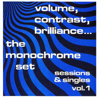 The Ruling Class - The Monochrome Set