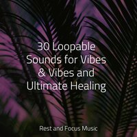 Yoga - Classical Lullabies, Yoga Soul, Echoes of Nature