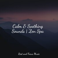 Keeping It Calm - Meditation Zen, Massagem Coleção de Músicas, Nature Sounds Nature Music