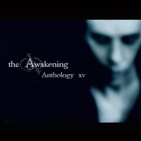 Before I Leap (XV) - The Awakening