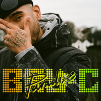 Paradise - Bru-C, Wilkinson