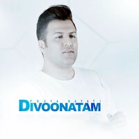 Divoonatam - Pouya Bayati