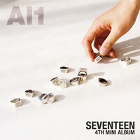 Swimming Fool - Seventeen