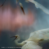 Play Pretend - Kasbo, Ourchives, Devault