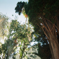 Close to See - Cam Meekins, VIXXLE