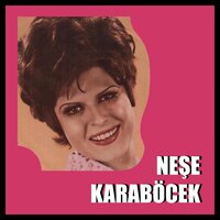 Ağlama Değmez Hayat - Neşe Karaböcek