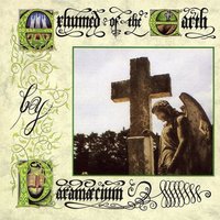 Removed of the Grave - Paramaecium
