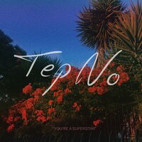 You're a Superstar - Tep No