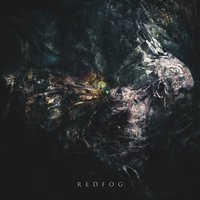 See Through Me - Orbit Culture