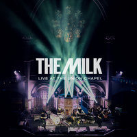 All I Wanted Was Danger - The Milk