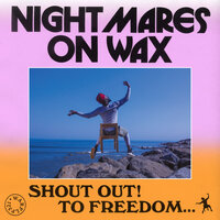 Wikid Satellites - Nightmares On Wax, Greentea Peng
