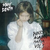 Home Skin - Sonic Death