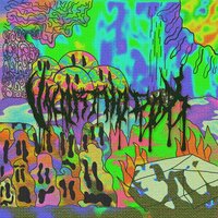 GO UP - Matt Ox