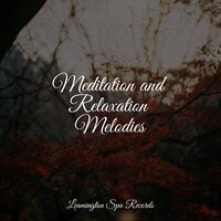 Deep Sleep - Oasis of Meditation, Massage Music, Internal Yoga