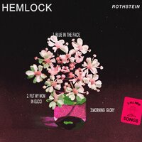 morning glory - Rothstein, Brasstracks, Alexander Lewis