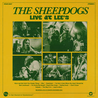 I’ve Got a Hole Where My Heart Should Be - The Sheepdogs