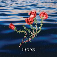 Waves - Melt