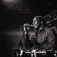 All the Time - Sly Johnson