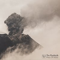 Starlight - The Flashbulb
