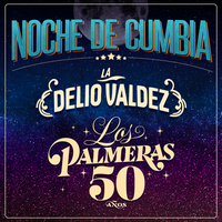 Loquito Por Tí - Los Palmeras, La Delio Valdez