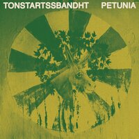 What Has Happened - Tonstartssbandht
