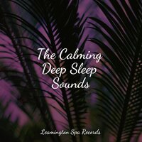 Heaven on the Keys - Tranquility Spa Universe, Relax Meditation Sleep, Tinnitus