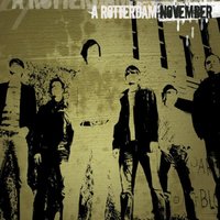 Unraveling Of A Tragedy - A Rotterdam November