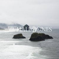 Exhausted Forgiveness - Whale Bones