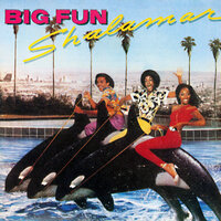 The Right Time for Us - Shalamar