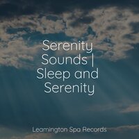 Calming Breeze - Study Power, Powerthoughts Meditation Club, Sonido Del Bosque y Naturaleza