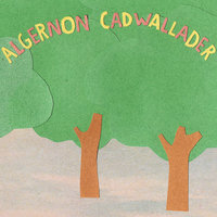 Some Kind of Cadwallader - 