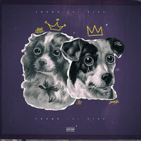 Pies - Young Igi