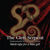 Black Tape For A Blue Girl