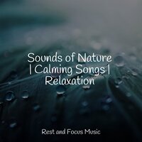 Someone Like You - Tranquil Music Sound Of Nature, Rising Higher Meditation, Deep Sleep Music Delta Binaural 432 Hz