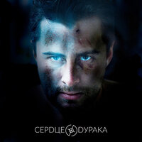 Сердце дурака