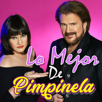 Pimpinela