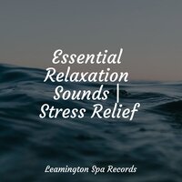 Lullaby - Relajantes sonidos de lluvia, It's Raining, Ambient Music Therapy