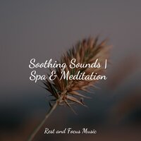 Paradise - Sounds of Nature White Noise for Mindfulness Meditation and Relaxation, Kinderlieder-Superstar, White Noise for Baby Sleep
