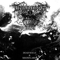 I Sing You to Me - Drowning the Light