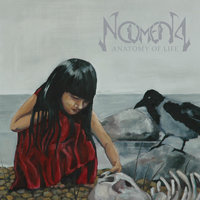 Through The Element - Noumena