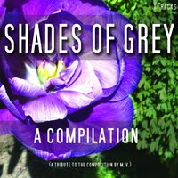 Moonlight Sonata [Beethoven] - Shades of Grey - A Fifty Track Compilation, 3