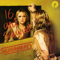 More Than Your Mouth Can Hold - Silverhead
