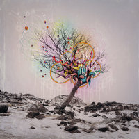 Colour In Your Hands - D.L.I.D, Fink