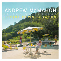 Paper Rain - Andrew McMahon in the Wilderness