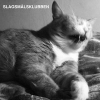 Hit Me Hard - Slagsmålsklubben