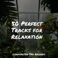 Gentle Sleep Music - White Noise Nature Sounds Baby Sleep, Sleep Sound Library, Deep Sleep Music Experience