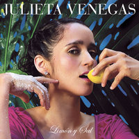 Te Voy a Mostrar - Julieta Venegas
