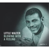 Me And My Chauffeur - Little Walter, Memphis Minnie